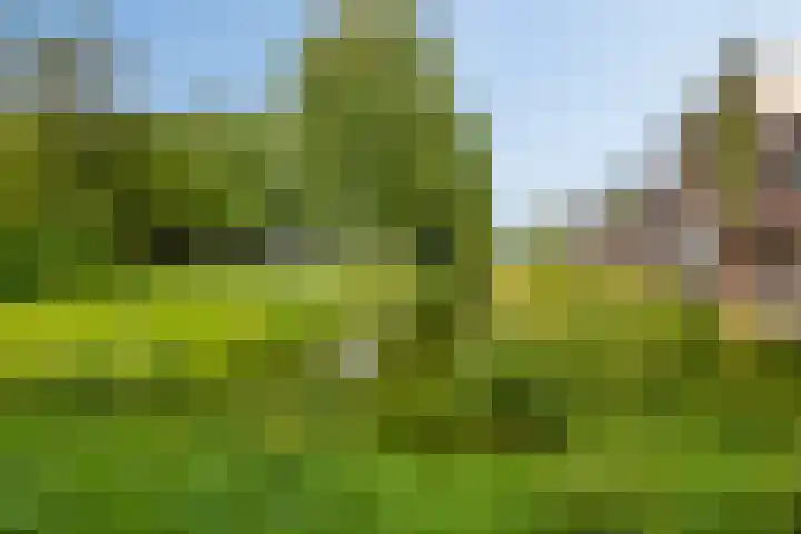 De Voeting 21 Amersfoort thumbnail 23