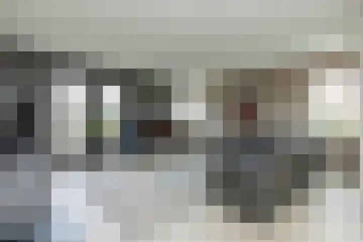 De Vogelakkers 6 Pesse thumbnail 10