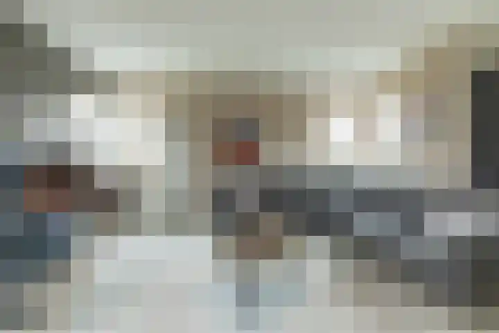 De Vogelakkers 6 Pesse thumbnail 11