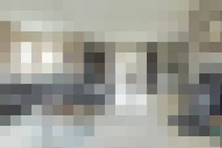 De Vogelakkers 6 Pesse thumbnail 12