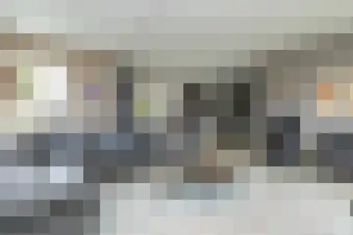 De Vogelakkers 6 Pesse thumbnail 14