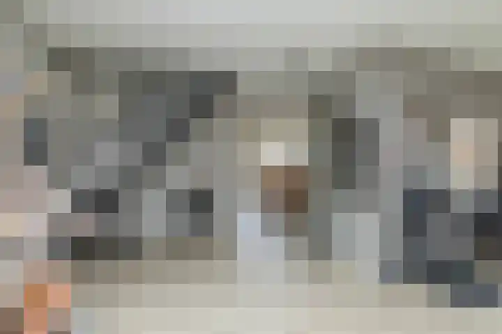 De Vogelakkers 6 Pesse thumbnail 15