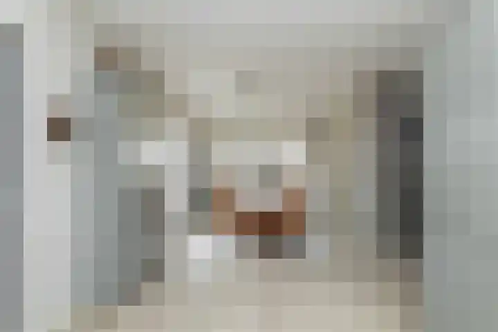 De Vogelakkers 6 Pesse thumbnail 16