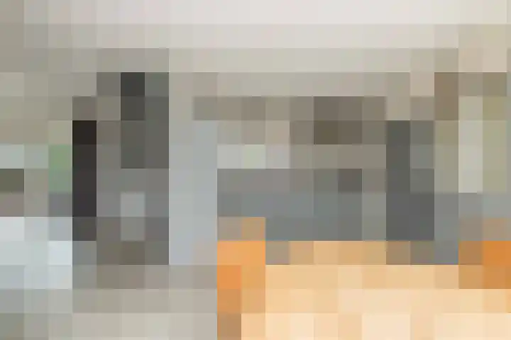De Vogelakkers 6 Pesse thumbnail 17