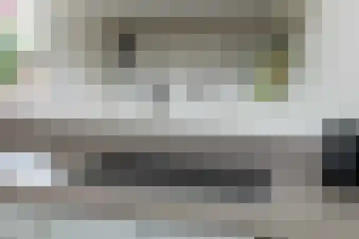De Vogelakkers 6 Pesse thumbnail 20