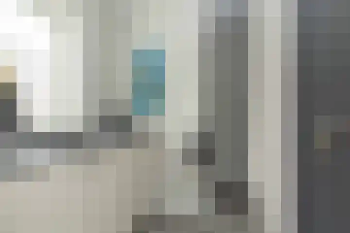 De Vogelakkers 6 Pesse thumbnail 21