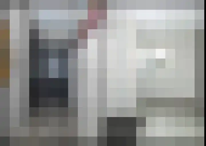 De Vogelakkers 6 Pesse thumbnail 22