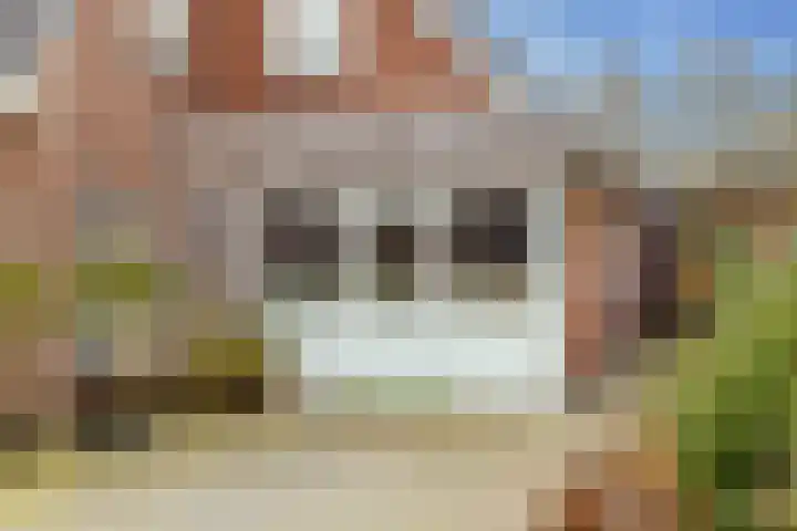 De Vogelakkers 6 Pesse thumbnail 23