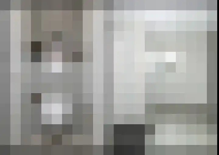 De Vogelakkers 6 Pesse thumbnail 26