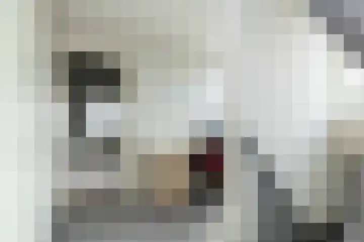 De Vogelakkers 6 Pesse thumbnail 29