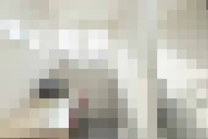 De Vogelakkers 6 Pesse thumbnail 30