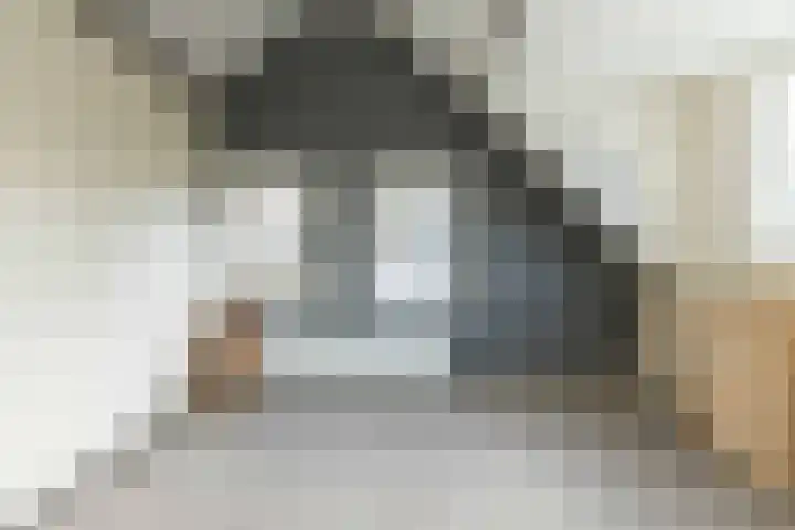De Vogelakkers 6 Pesse thumbnail 31