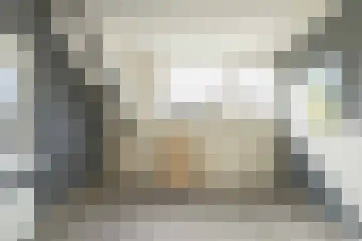 De Vogelakkers 6 Pesse thumbnail 32