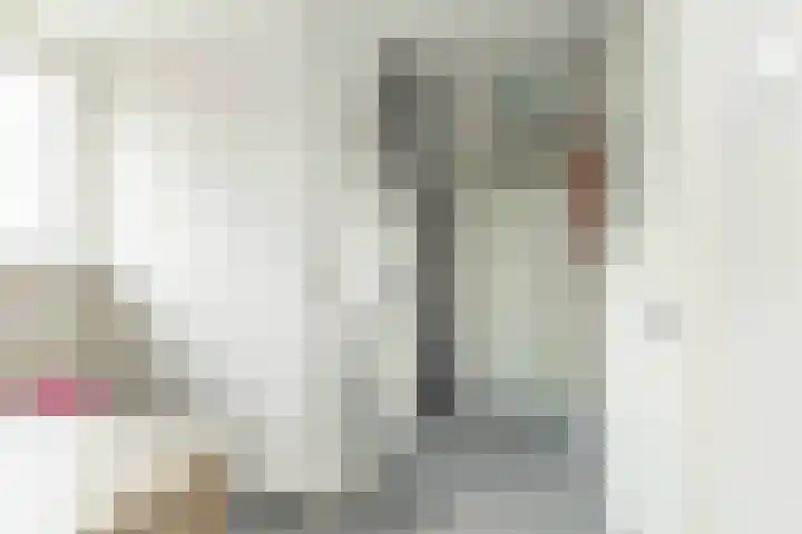 De Vogelakkers 6 Pesse thumbnail 33