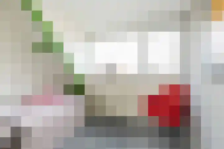 De Vogelakkers 6 Pesse thumbnail 34