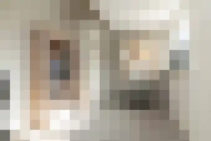 De Vogelakkers 6 Pesse thumbnail 36