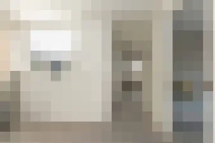 De Vogelakkers 6 Pesse thumbnail 37