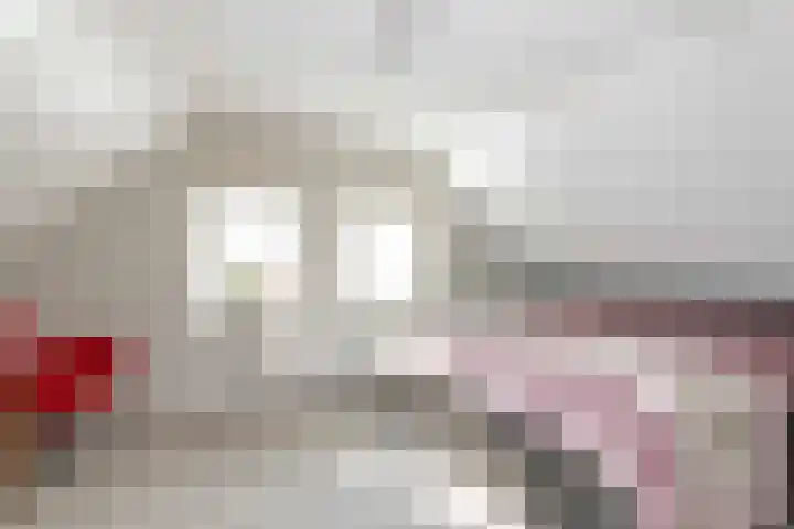 De Vogelakkers 6 Pesse thumbnail 39
