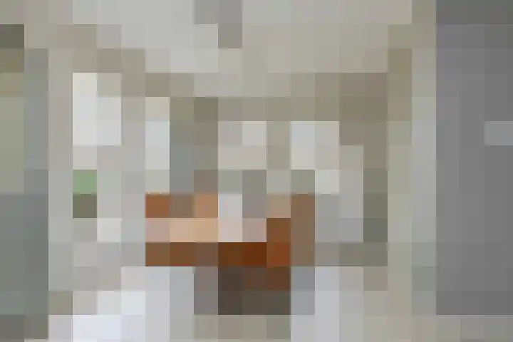 De Vogelakkers 6 Pesse thumbnail 4