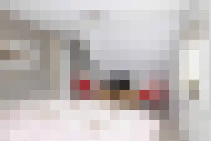 De Vogelakkers 6 Pesse thumbnail 40