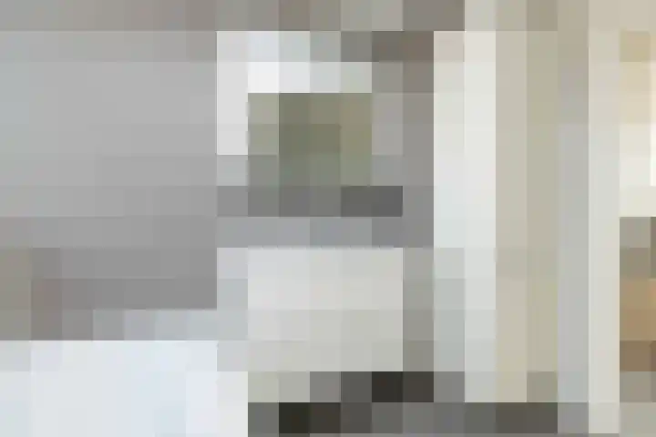 De Vogelakkers 6 Pesse thumbnail 42