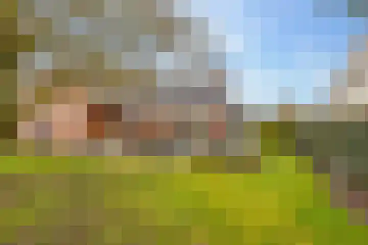 De Vogelakkers 6 Pesse thumbnail 44