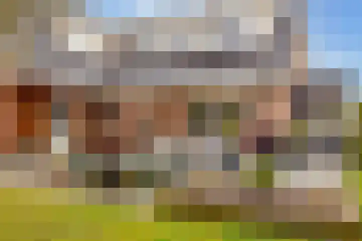 De Vogelakkers 6 Pesse thumbnail 45