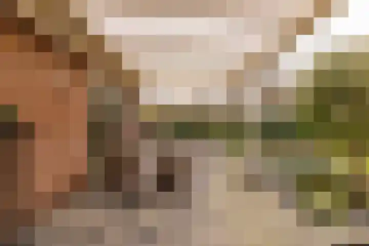 De Vogelakkers 6 Pesse thumbnail 47