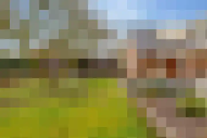 De Vogelakkers 6 Pesse thumbnail 49