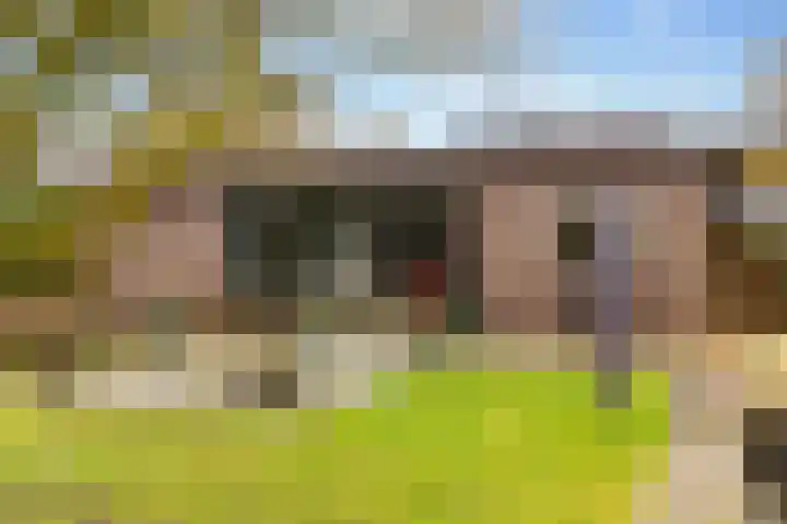 De Vogelakkers 6 Pesse thumbnail 50
