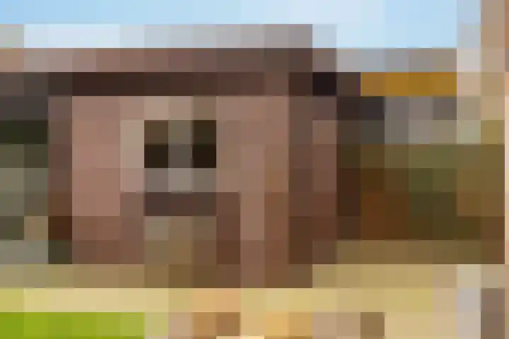 De Vogelakkers 6 Pesse thumbnail 52