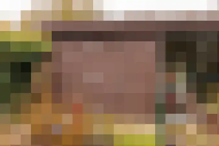 De Vogelakkers 6 Pesse thumbnail 53
