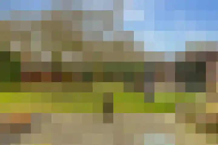 De Vogelakkers 6 Pesse thumbnail 55