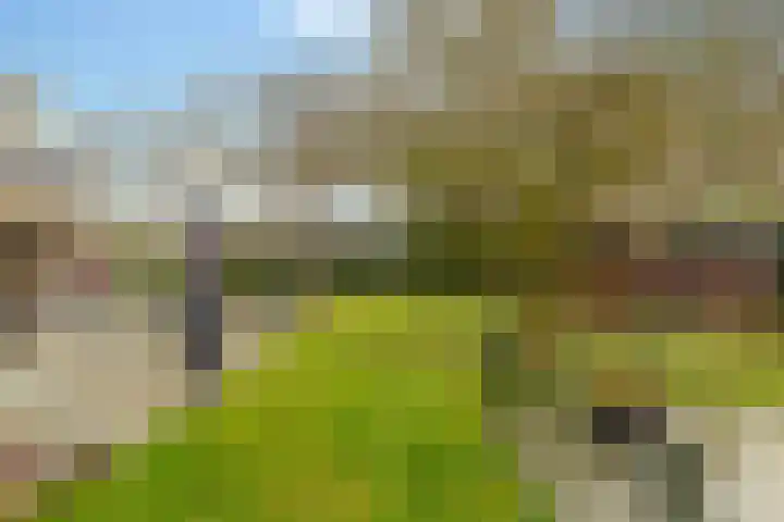 De Vogelakkers 6 Pesse thumbnail 56