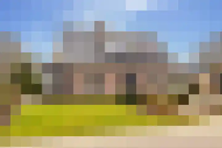 De Vogelakkers 6 Pesse thumbnail 57