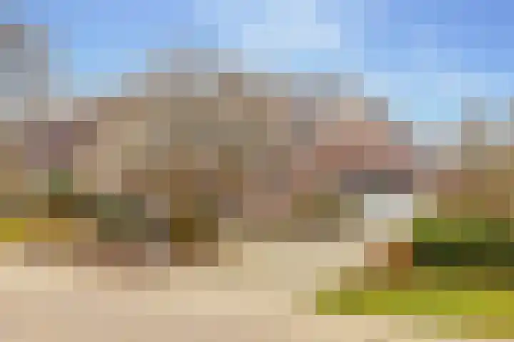 De Vogelakkers 6 Pesse thumbnail 58