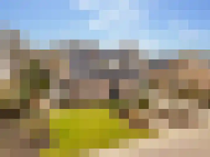 De Vogelakkers 6 Pesse thumbnail 59