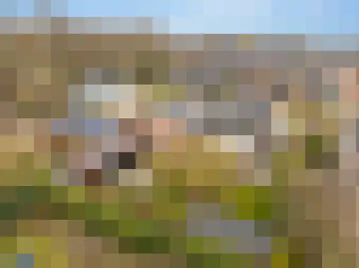 De Vogelakkers 6 Pesse thumbnail 6