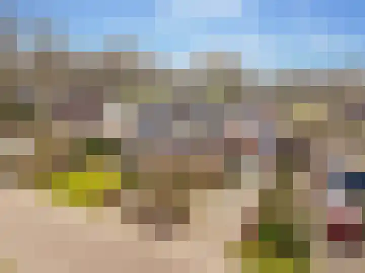 De Vogelakkers 6 Pesse thumbnail 60