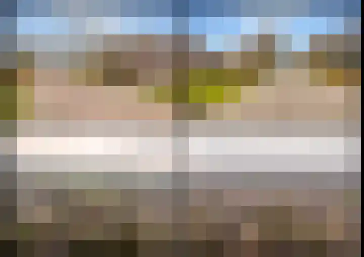 De Vogelakkers 6 Pesse thumbnail 63