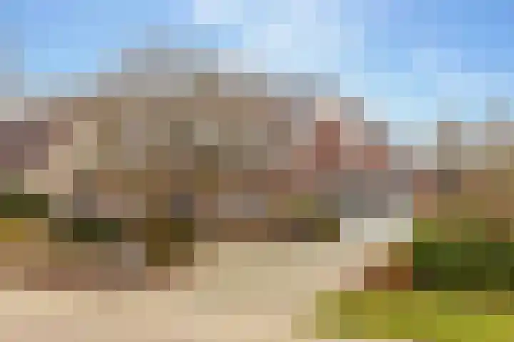 De Vogelakkers 6 Pesse thumbnail 7