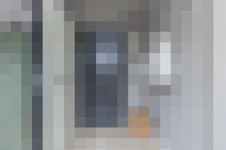 De Vogelakkers 6 Pesse thumbnail 9