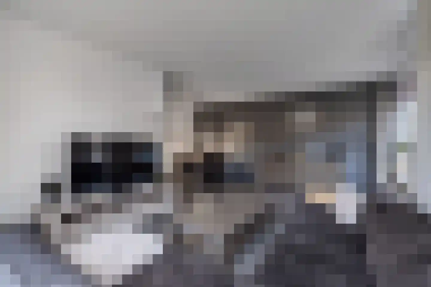 De Vogelkers 1 Bedum thumbnail 16