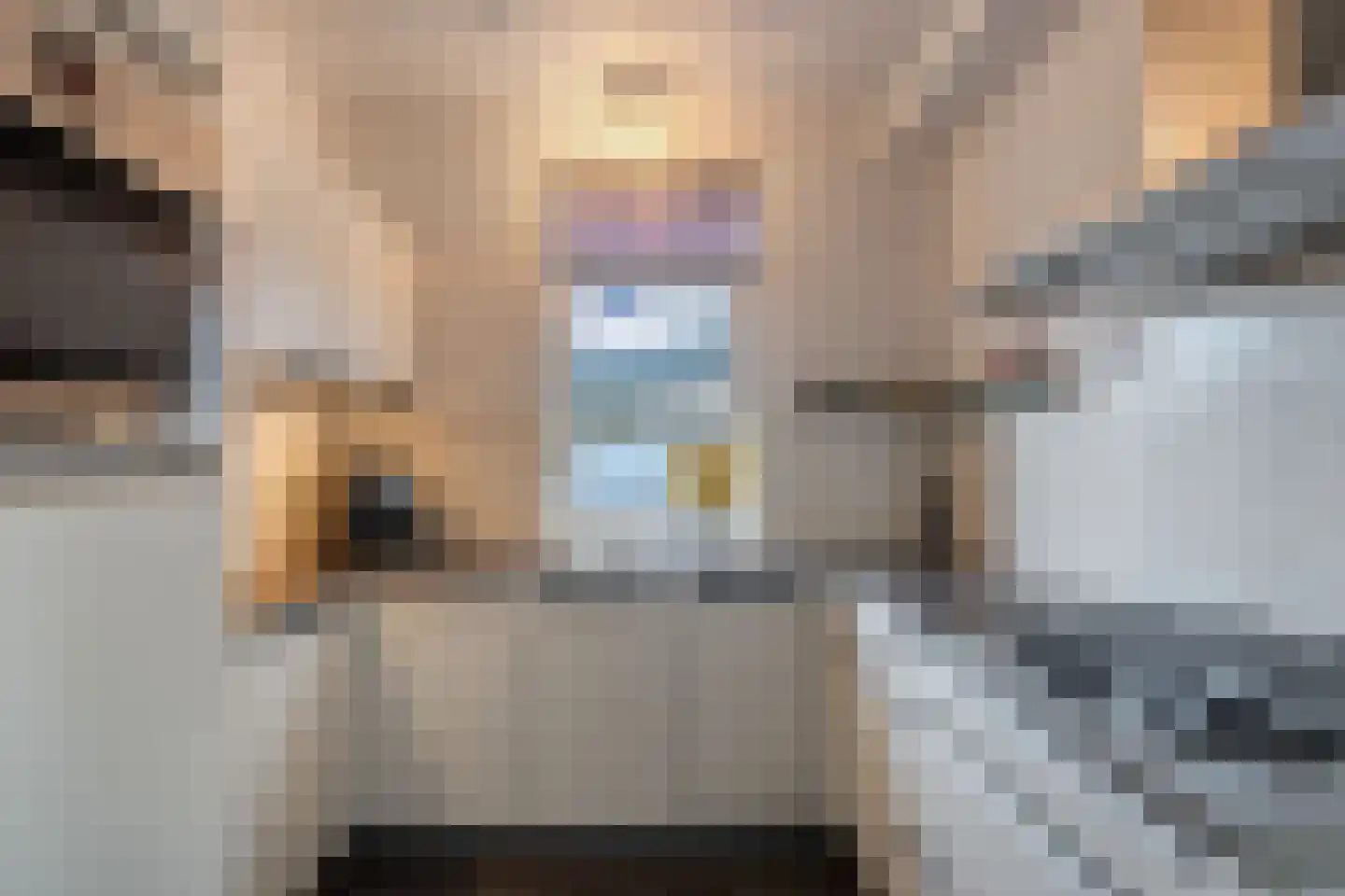 De Vogelkers 1 Bedum thumbnail 20