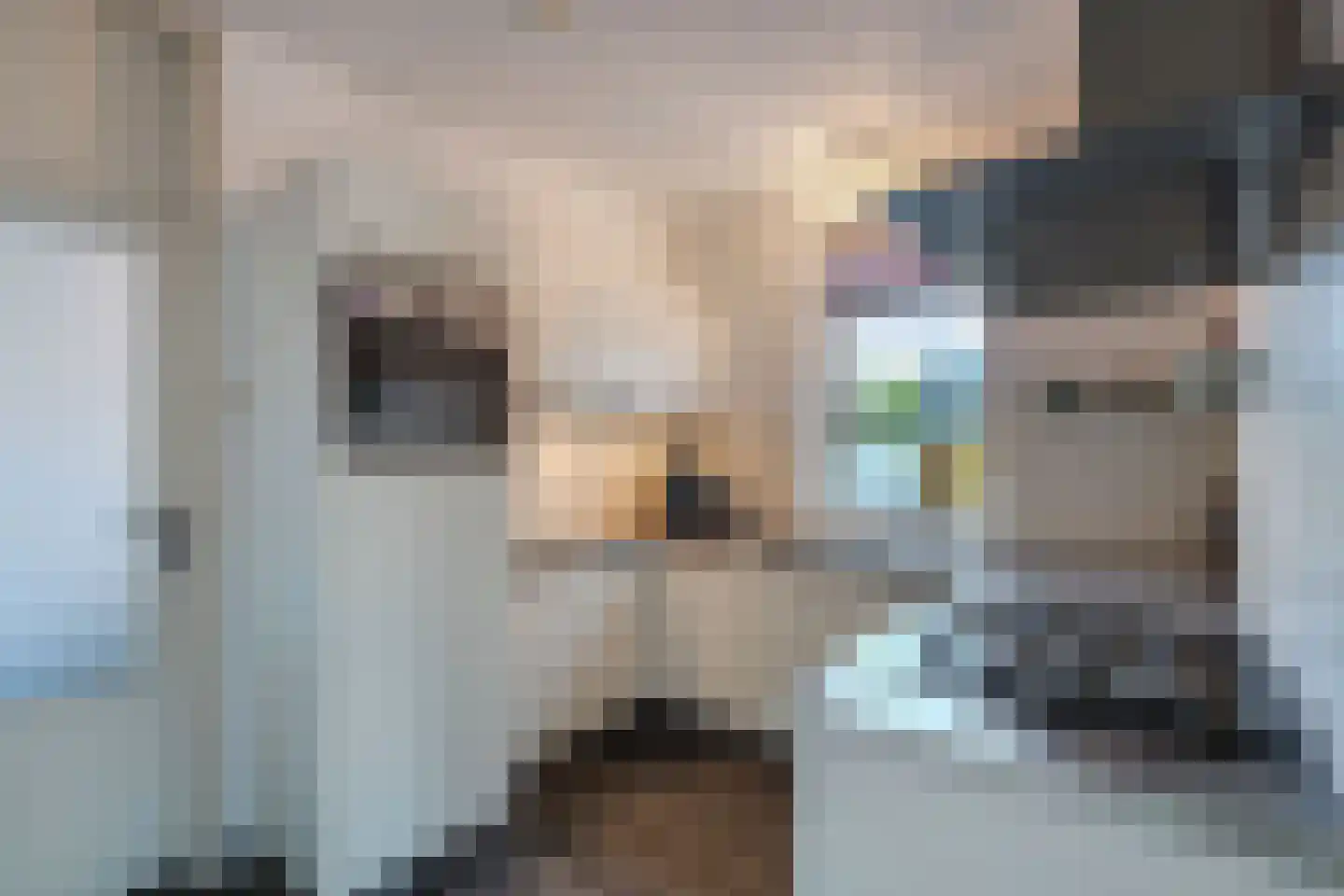 De Vogelkers 1 Bedum thumbnail 21