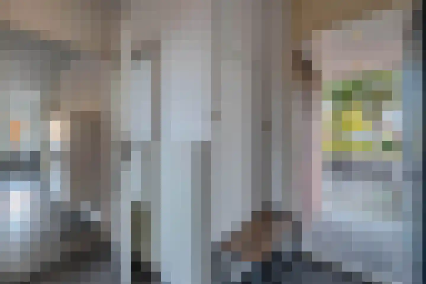 De Vogelkers 1 Bedum thumbnail 23