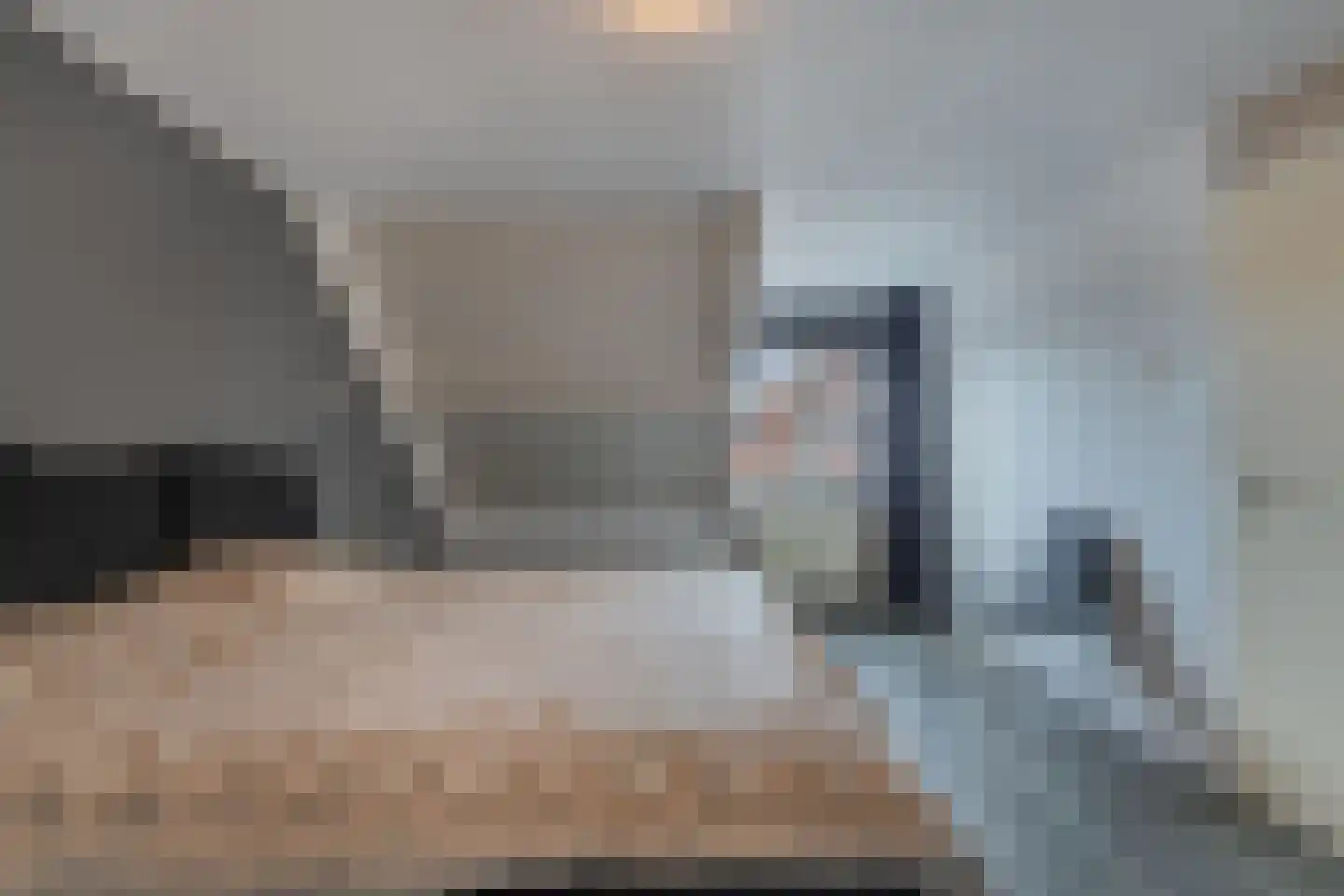 De Vogelkers 1 Bedum thumbnail 28