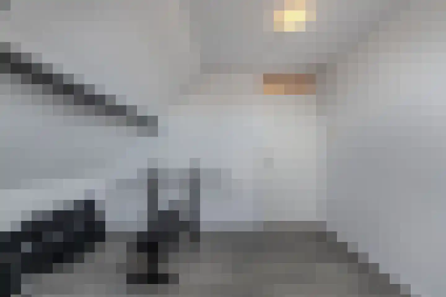 De Vogelkers 1 Bedum thumbnail 32