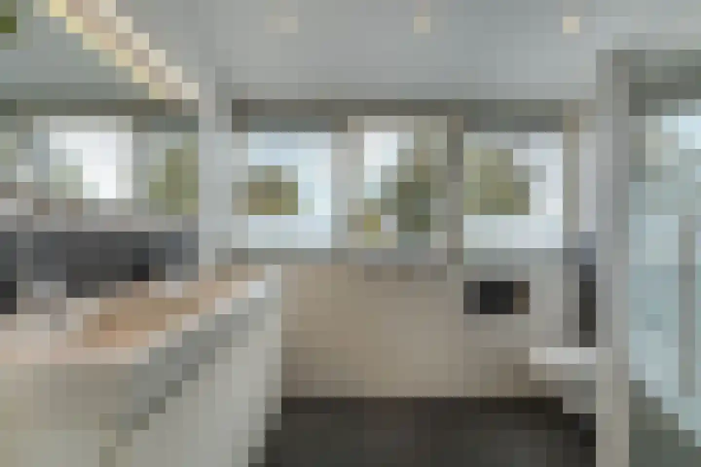 De Vogelkers 1 Bedum thumbnail 33