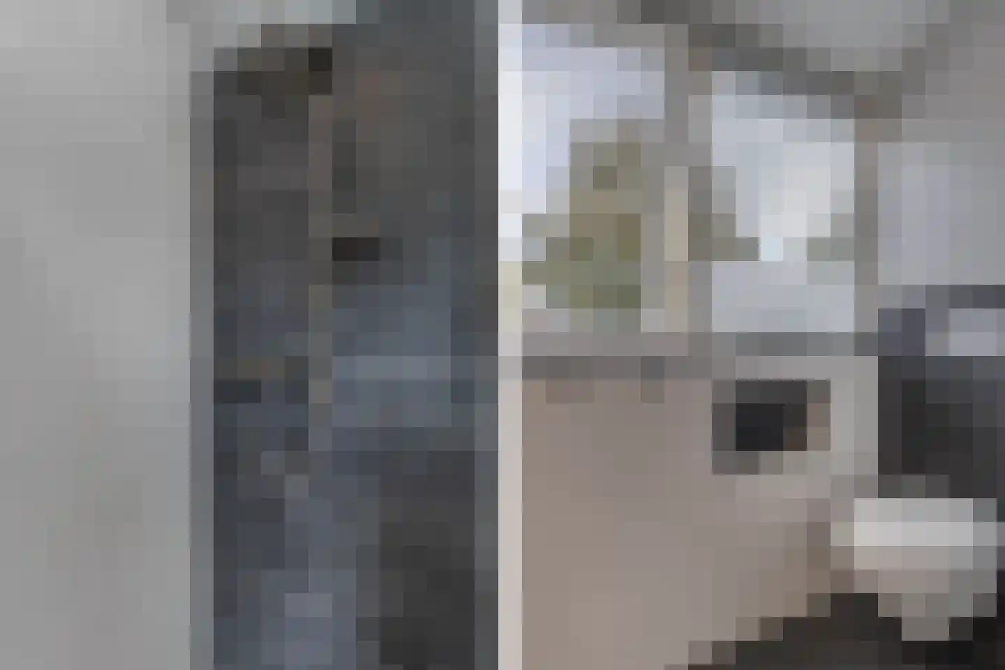 De Vogelkers 1 Bedum thumbnail 34
